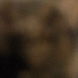 For Tanya. 4 pair of Bermuda shorts